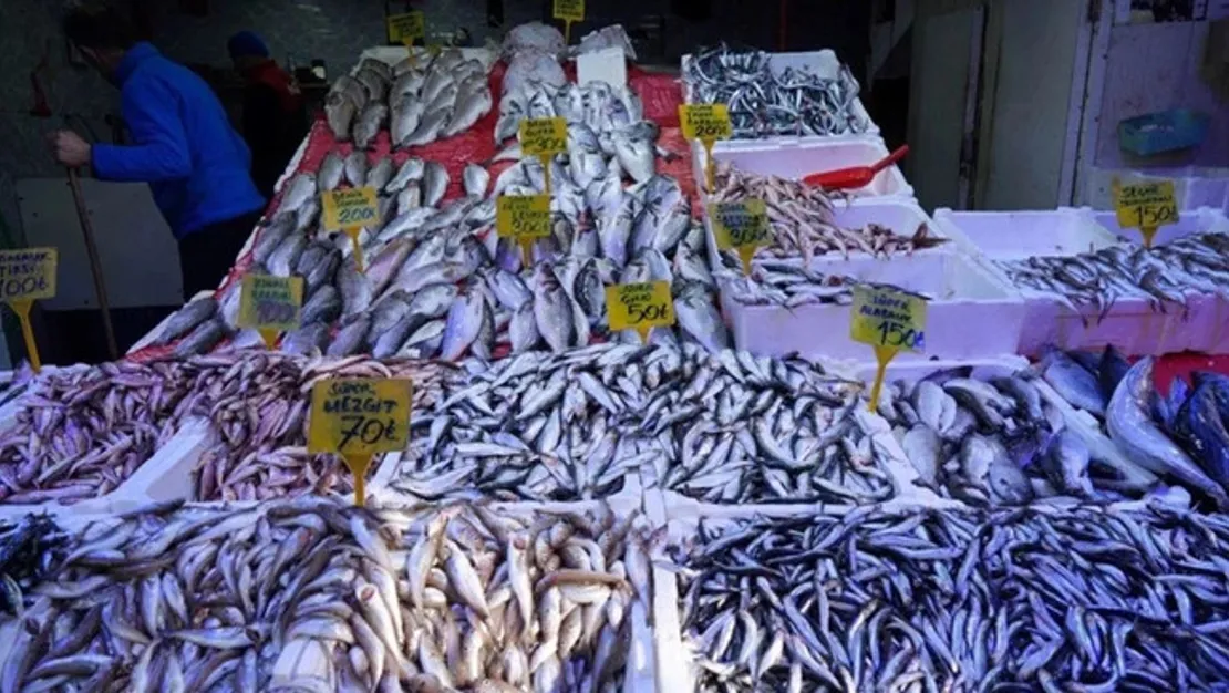 balik-fiyatlarinda-buyuk-indirim-yasandi