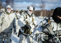 norvec-gronland-a-yalnizca-iki-asker-gonderdi