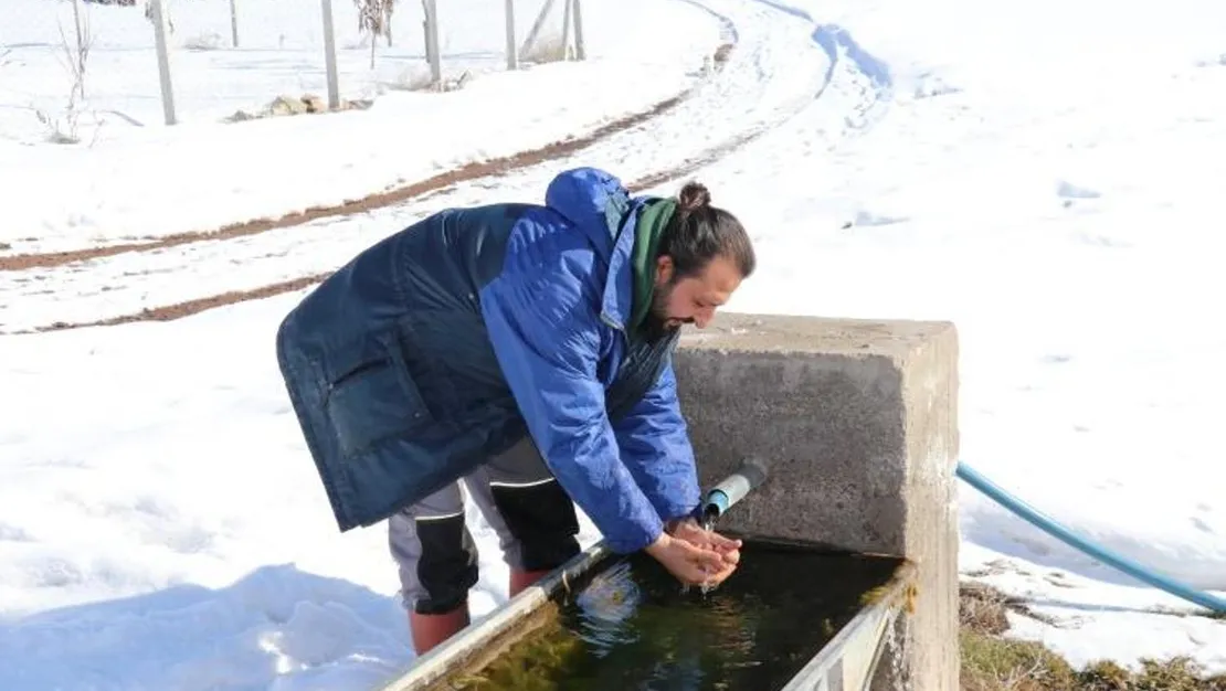 babasinin-biriktirdigi-parayla-hayvanciliga-basladi