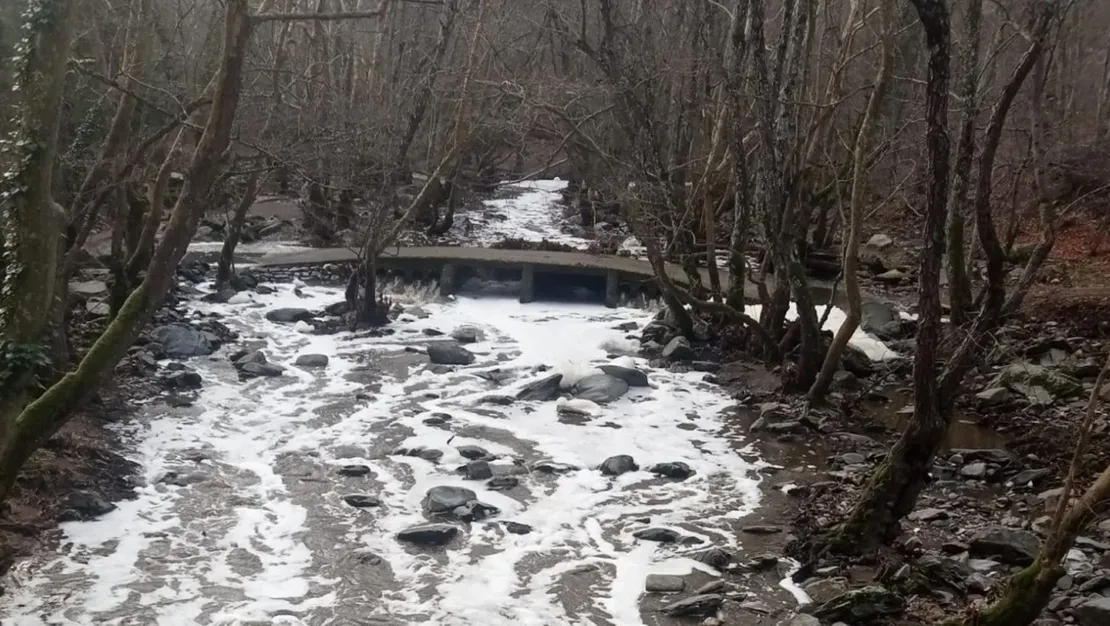 ketenlik-deresi-kimyasallarla-kirlendi