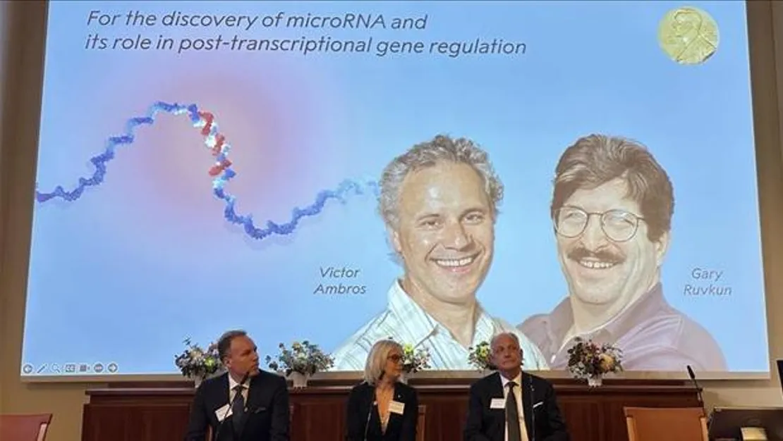 2024-nobel-tip-odulu-sahipleri-aciklandi