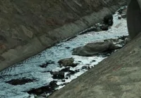 cebeci-deresi-buyuyen-tehlike-olusturuyor