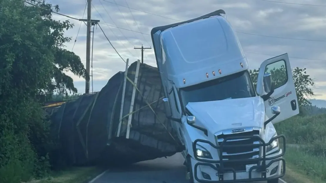 kamyon-devrildi-250-milyon-ari-kacti