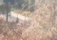 agaclik-alanda-yangin-kontrol-altinda