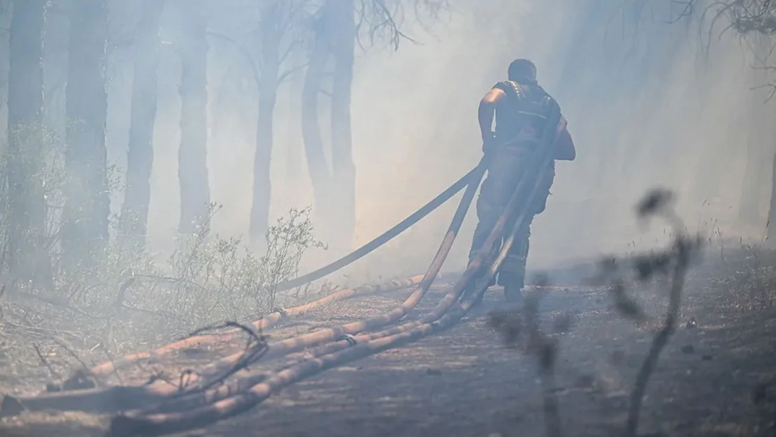 orman-yanginlarinin-yuzde-90-i-insan-kaynakli