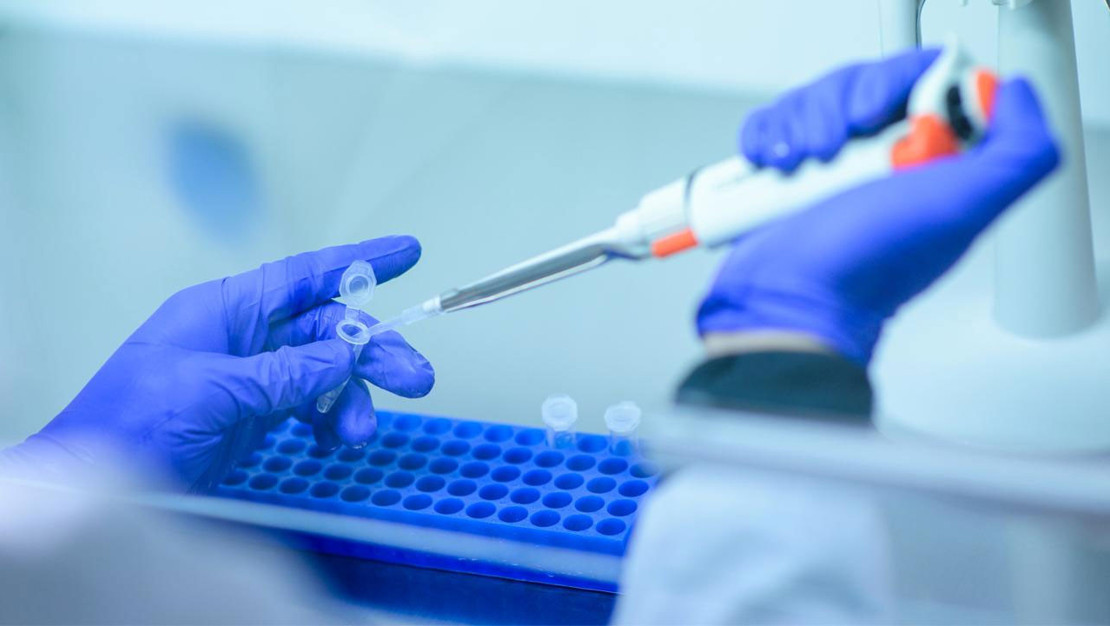 istanbul-da-kuduz-basvurularinda-buyuk-artis-yasandi