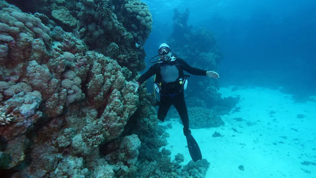 dalisin-mavi-derinliklerinde-yeni-bir-ozgurluk