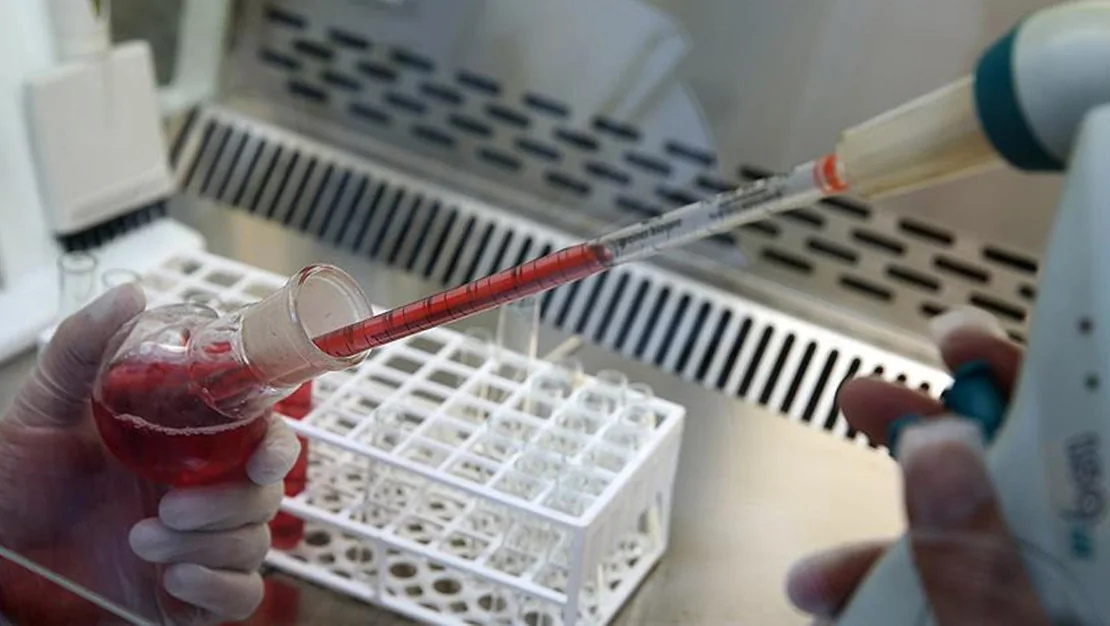 a-rh-kan-grubu-sahipleri-dikkat