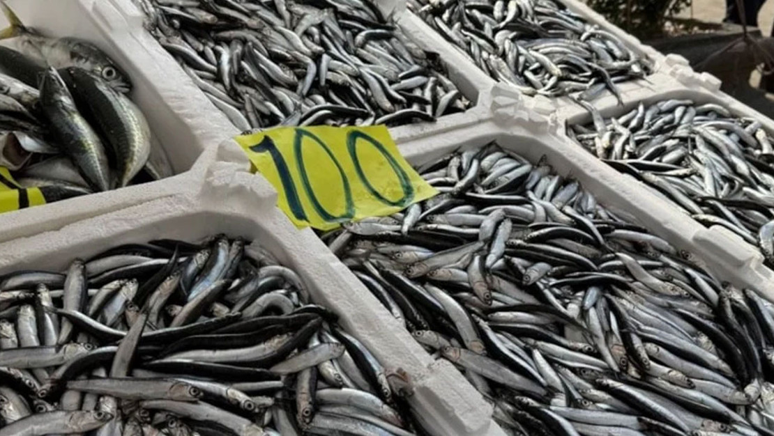 zonguldak-ta-ramazan-mesaisinde-balik-satisi-devam-ediyor