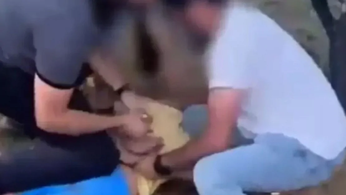 yasin-tunahan-n-kizina-taciz-etti