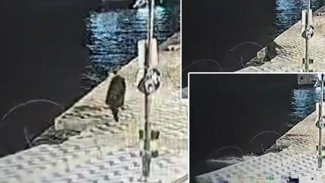 izmir-de-denize-dusup-boguldu-tespit-edildi