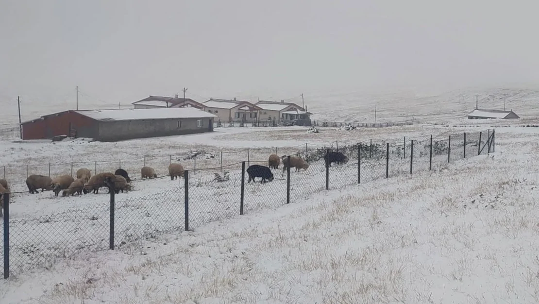 eylul-ortasinda-kar-4-sehri-beyazladi