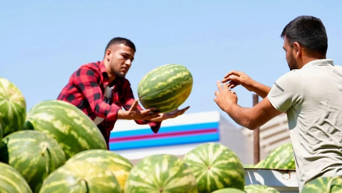 belediye-karpuz-ureticilerinden-urun-aldi