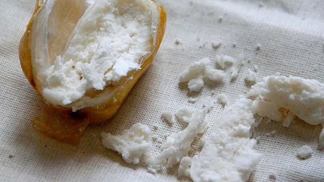 avrupa-kokaine-hizla-alisiyor