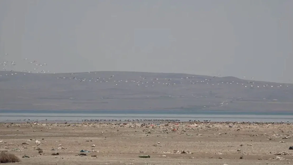 vg-h-misafirleri-agirliyor