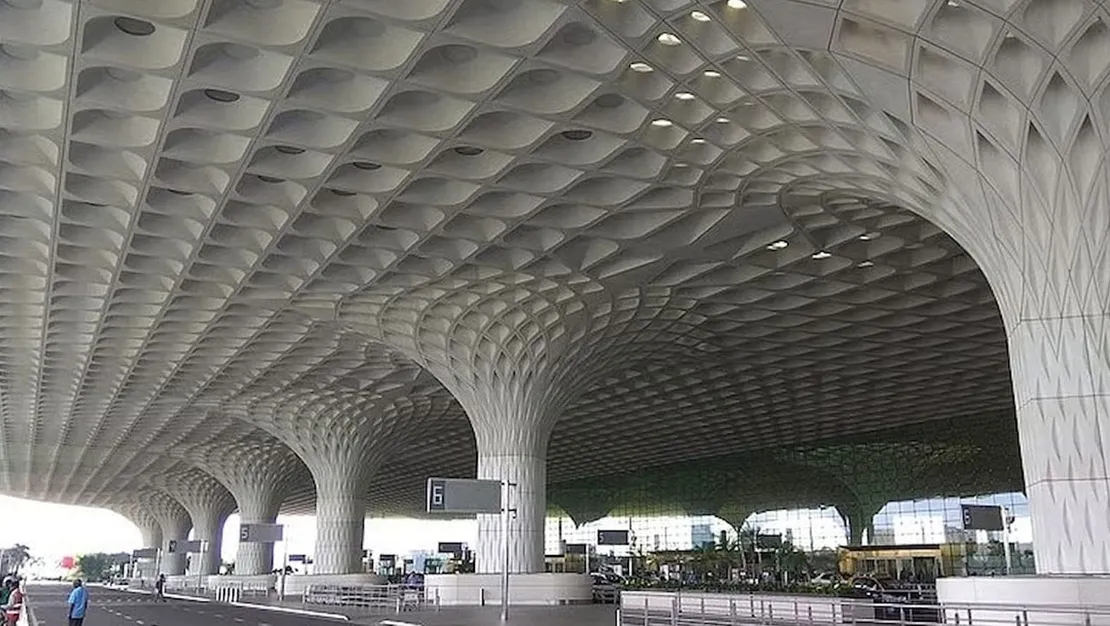 havalimaninda-48-yilan-ele-gecirildi