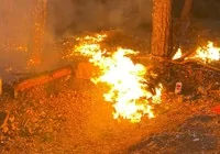 mersin-deki-yangin-kontrol-altina-alindi