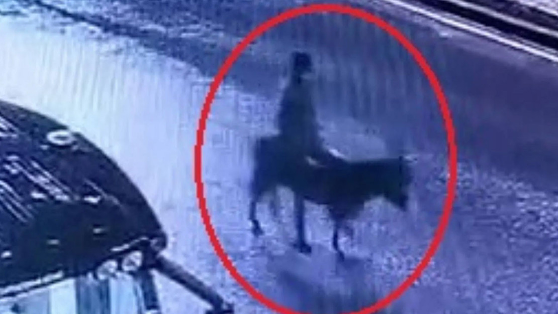 kayseri-de-kuyumcu-soygununa-iliskin-iddianame-hazirlandi