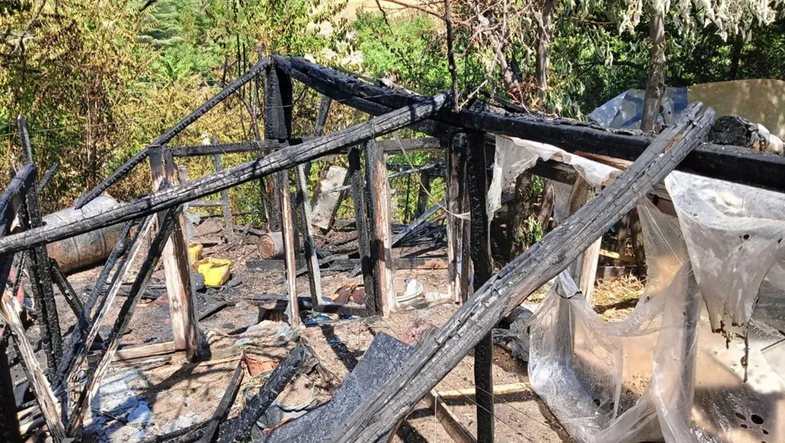 mamak-ta-yangin-panigi-yasandi