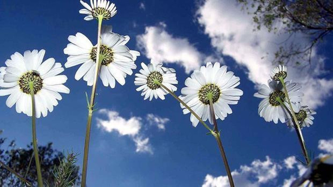 cemre-dusmeleri-2026-hava-su-ve-topraga-ne-zaman-dusecek