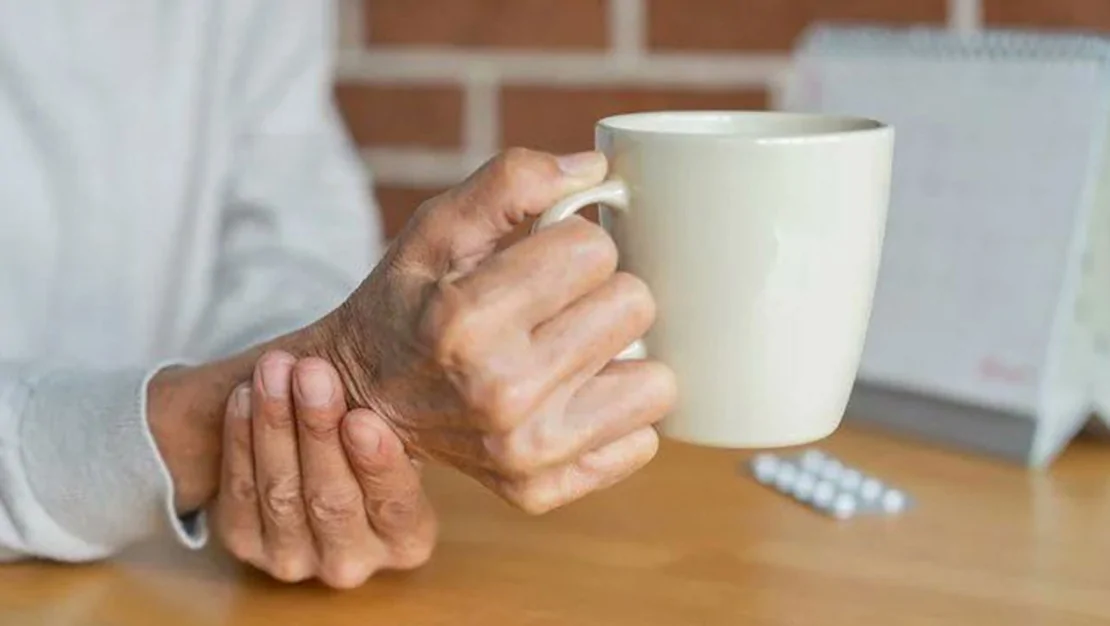 kopekler-koku-ile-belirleyebiliyor