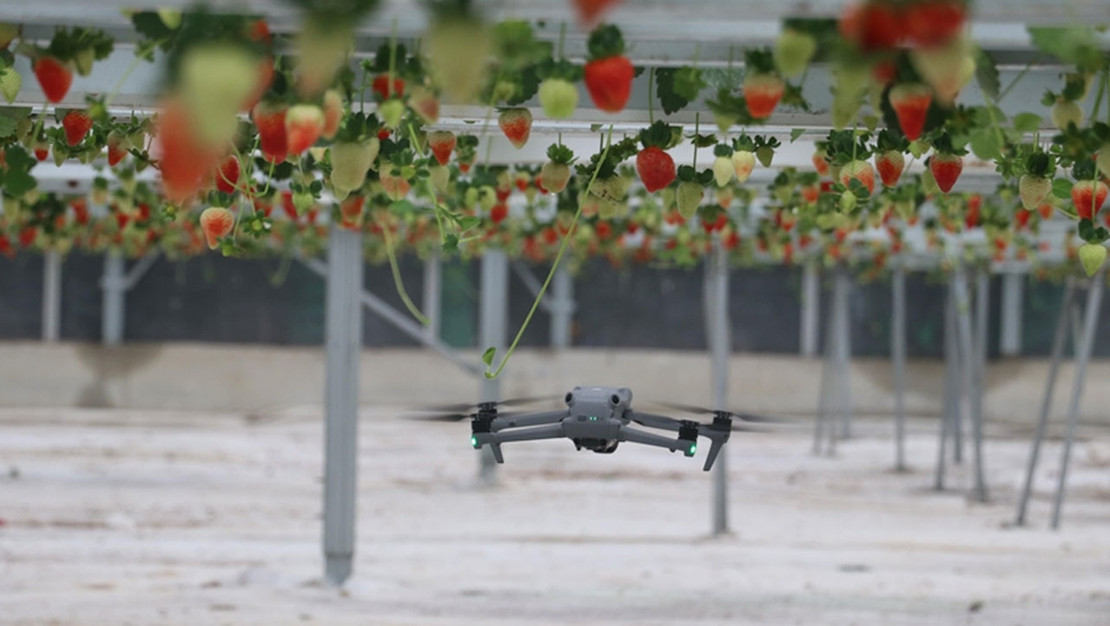 forte-bilgi-iletisim-tarimda-yapay-zeka-ile-inovasyona-imza-atiyor