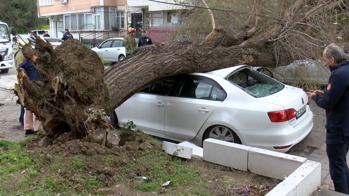 gungoren-de-siddetli-ruzgar-agaclari-devirtti