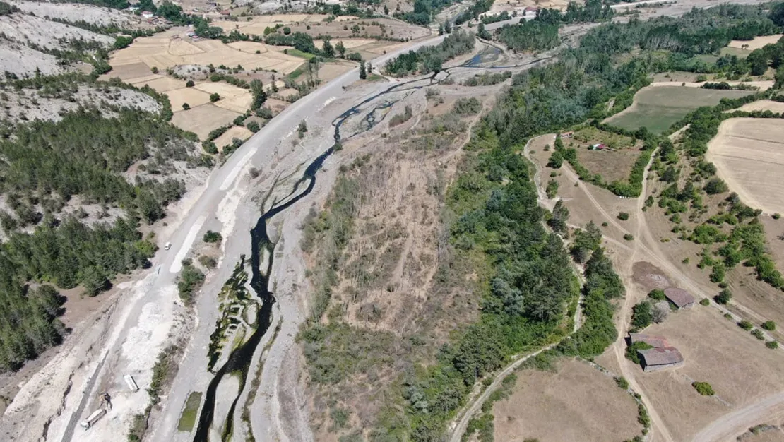 kastamonu-da-32-yilda-binlerce-fidan