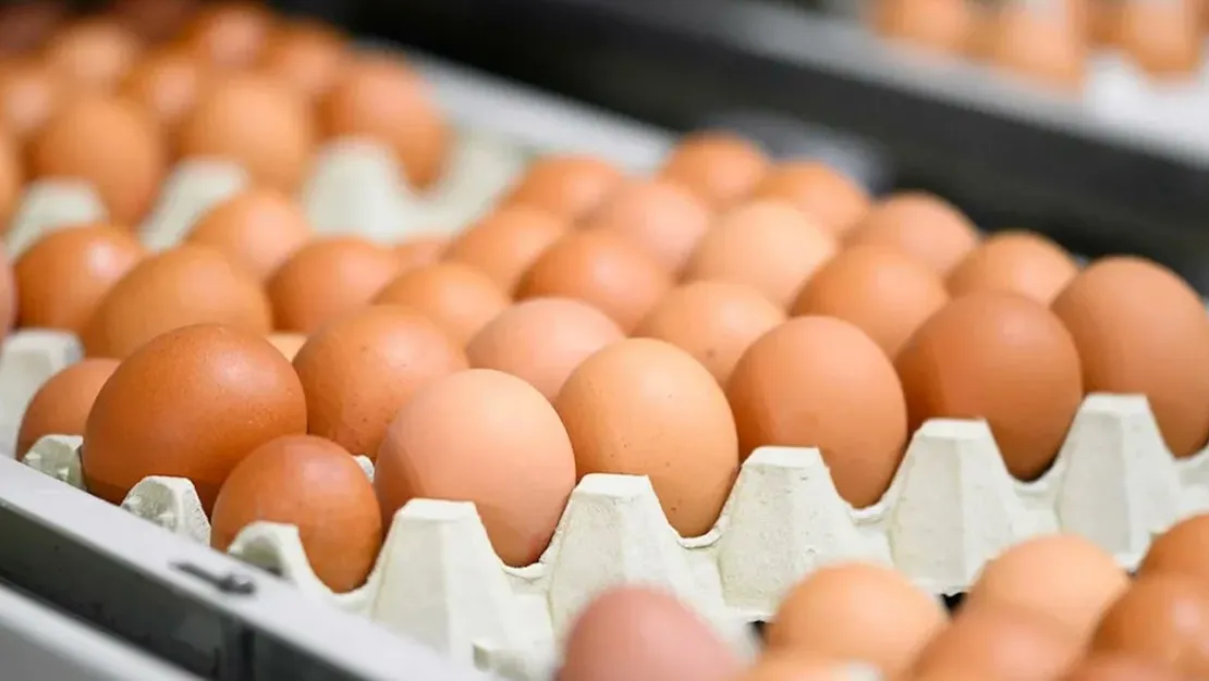 marketlerde-kahverengi-yumurta-yasaklandi