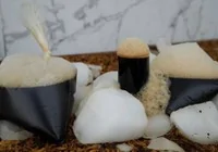 meyan-serbeti-ramazan-da-ilgi-goruyor