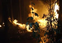 aksu-sazlikta-yangin-sonduruldu