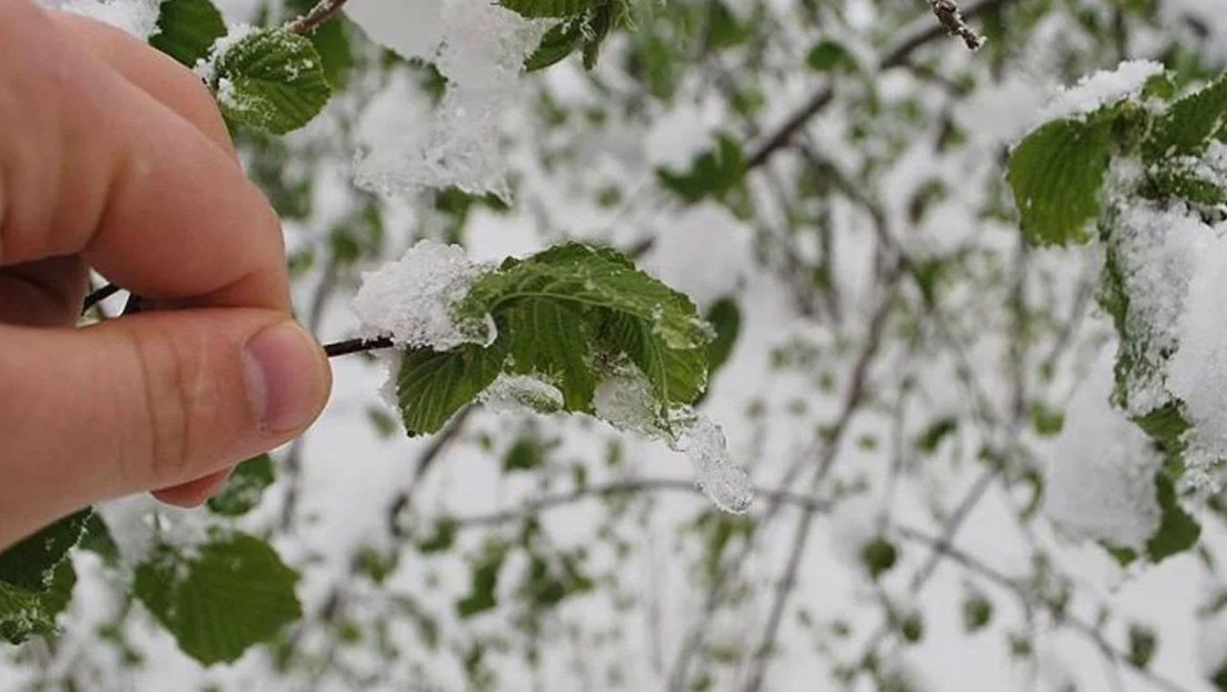 aydin-da-soguk-hava-dalga-etkisi-basliyor