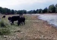 mudurnu-cayi-nda-kirlilik-sorunu-var