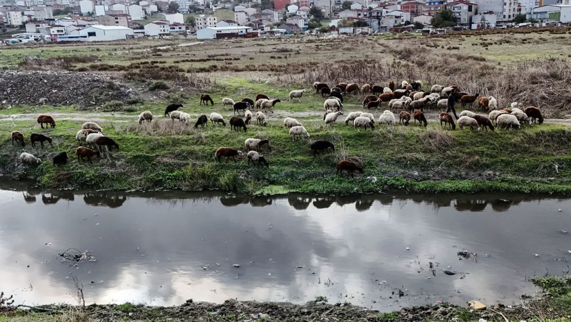 avcilar-da-dere-kirliligi-ciddi-boyutlarda-yasaniyor