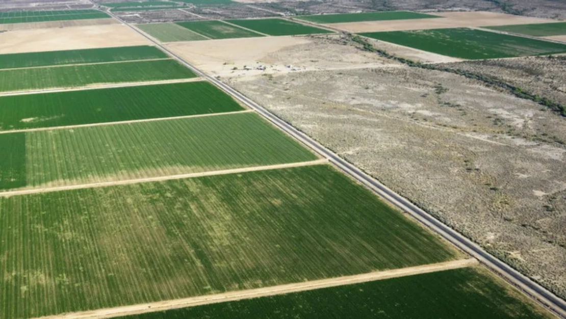 milli-emlak-tan-uygun-fiyatli-arsa-satisi