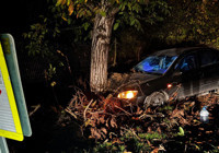 bursa-da-otomobil-agaca-carpti-3-yarali