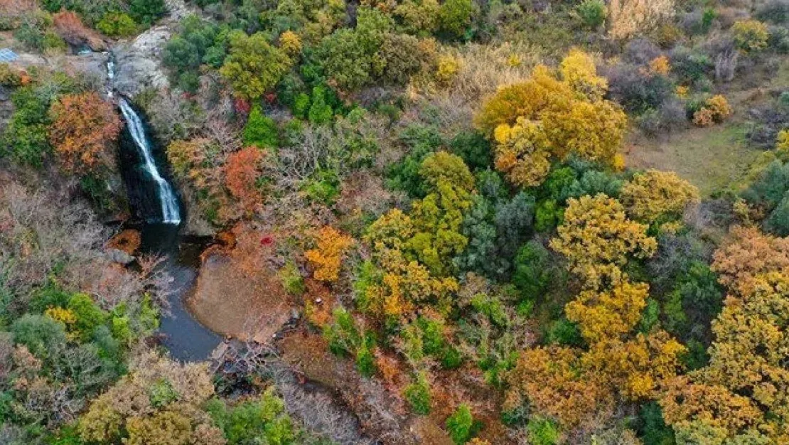 dogal-sit-alanlari-icin-yeni-karar