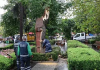 kuvvetli-ruzgar-agaclari-devrildi