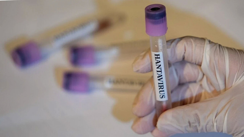 bakan-memisoglu-turkiye-de-hantavirus-salgini-yok