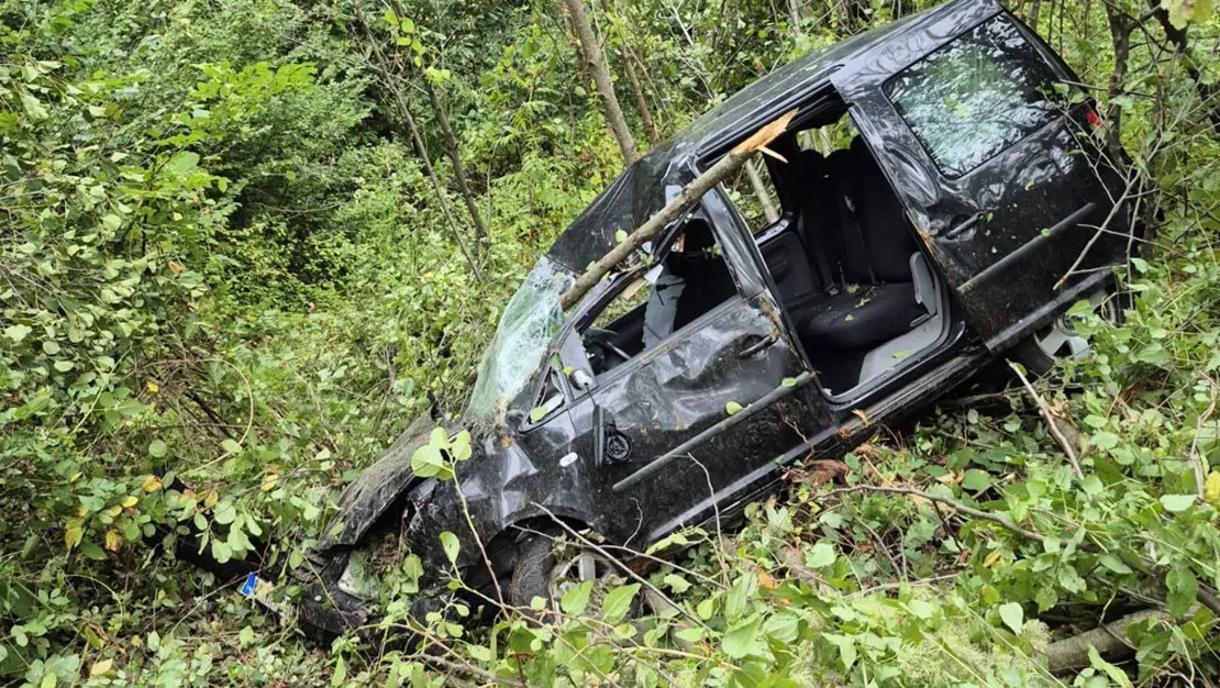 trabzon-da-ticari-arac-sarampole-dustu