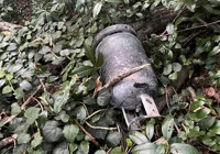 hendek-te-yangin-kontrol-altina-alindi