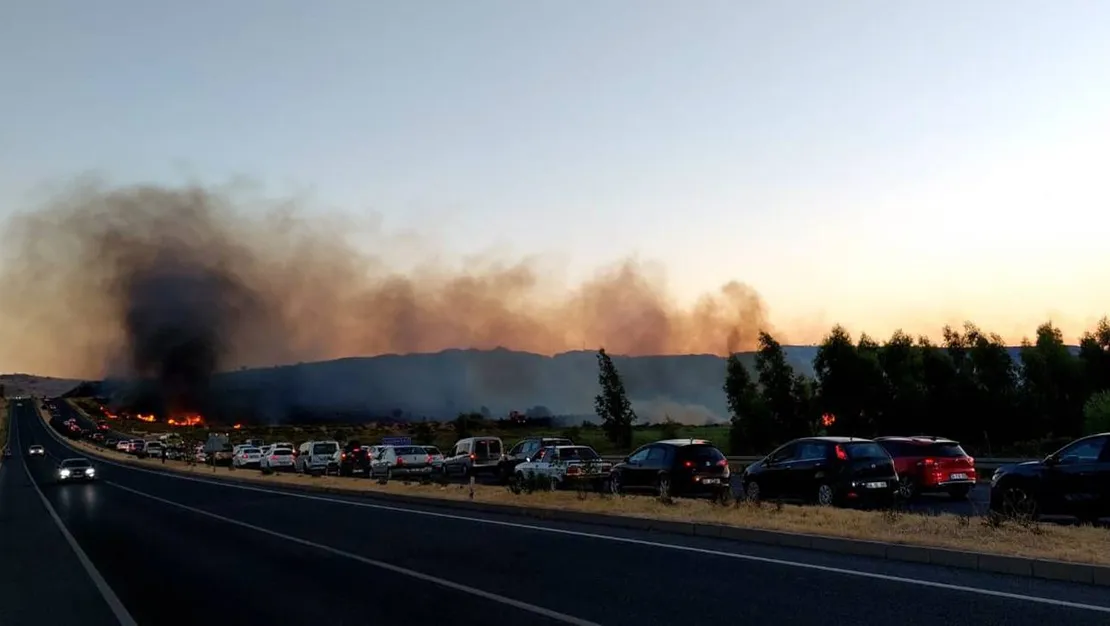 izmir-de-orman-yanginlari-ortaya-cikti