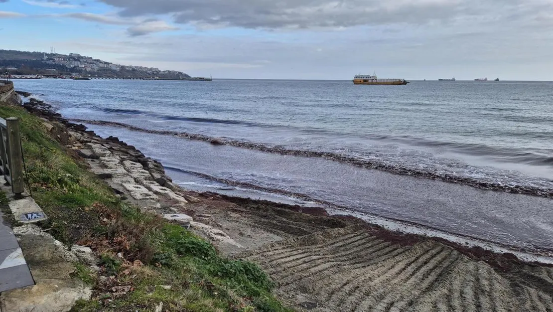 tekirdag-sahili-kirmizi-yosunla-renk-degistirdi