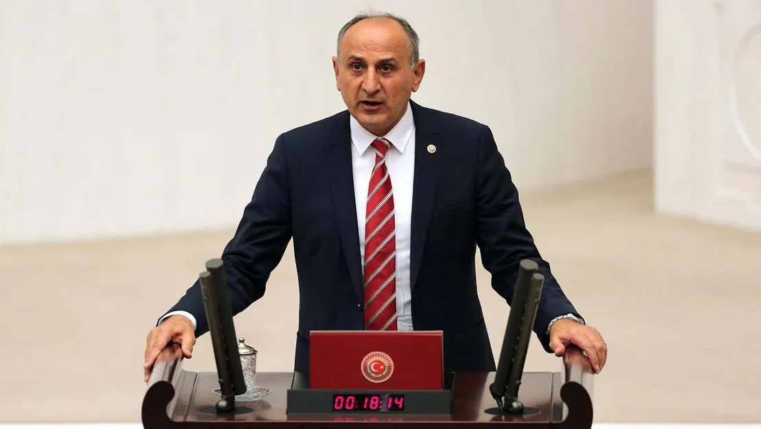 chp-de-cicek-cumhurbaskani-adayligina-talip