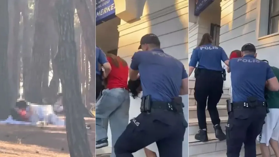 florya-ormani-nda-cinsel-iliski-olayi