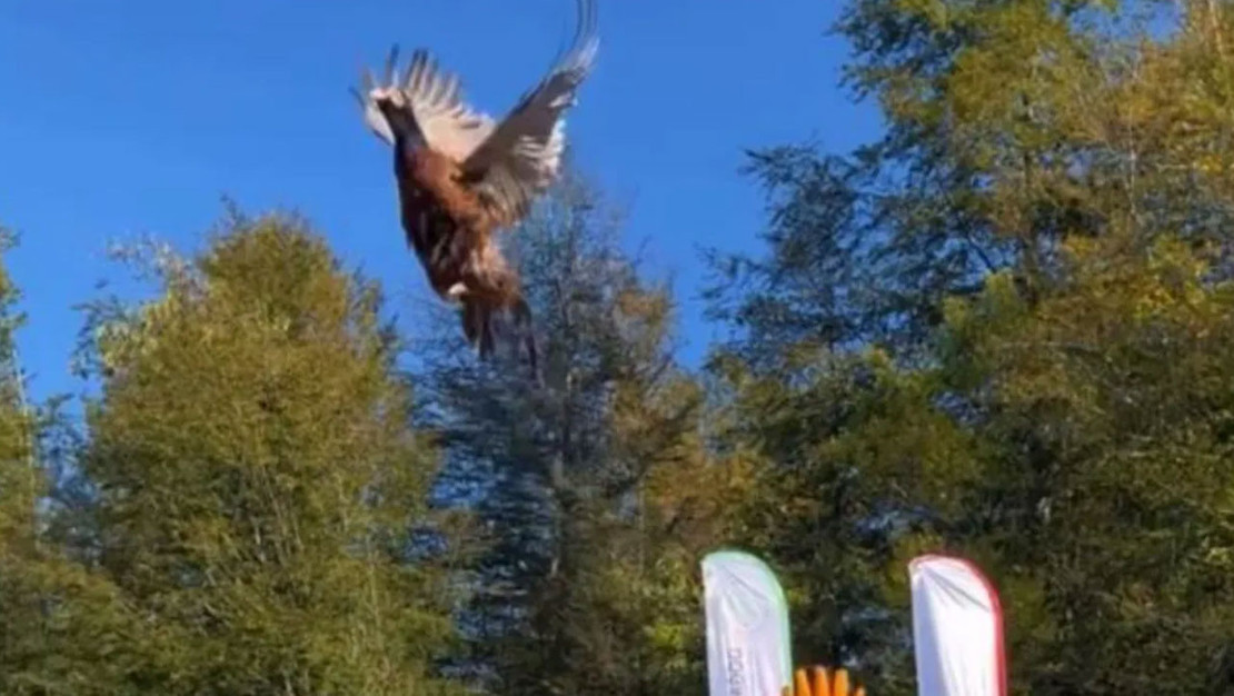 bartin-da-250-sulun-dogaya-salindi