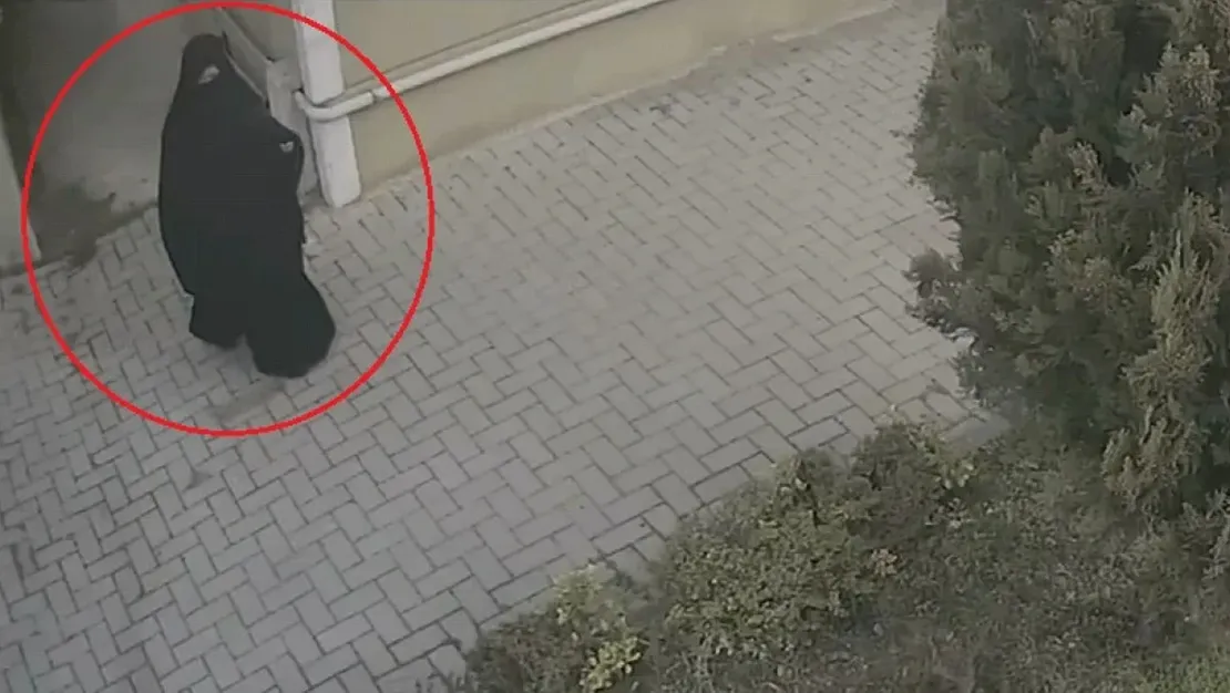 bursa-da-hirsizlik-yapan-kardes-serbest-kaldi