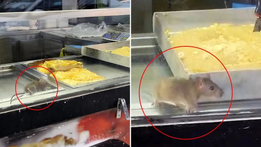 buca-da-borekcide-hijyen-skandali-ortaya-cikti