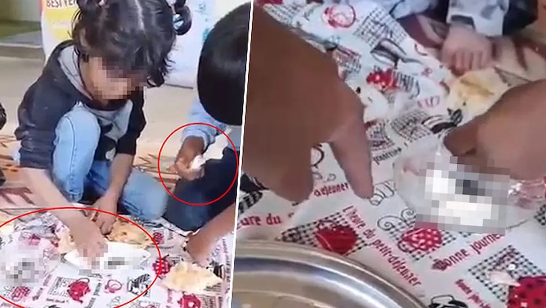 diski-yedirilen-cocuklar-uvey-kardesleridir