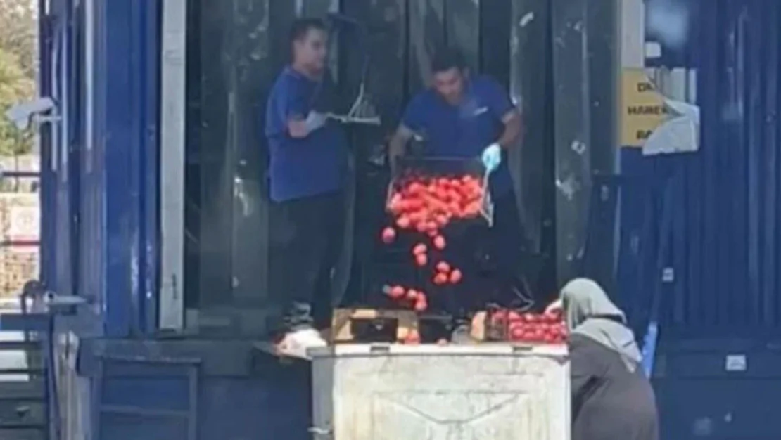 istanbul-da-marketler-domatesleri-cope-atti